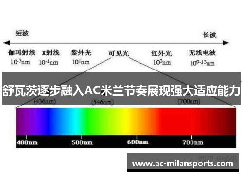 舒瓦茨逐步融入AC米兰节奏展现强大适应能力