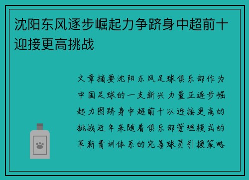 沈阳东风逐步崛起力争跻身中超前十迎接更高挑战
