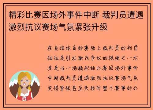 精彩比赛因场外事件中断 裁判员遭遇激烈抗议赛场气氛紧张升级