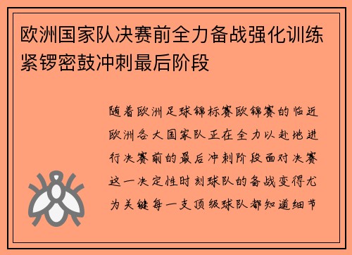 欧洲国家队决赛前全力备战强化训练紧锣密鼓冲刺最后阶段