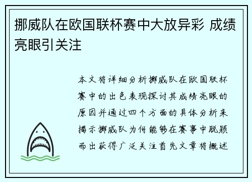 挪威队在欧国联杯赛中大放异彩 成绩亮眼引关注