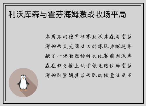 利沃库森与霍芬海姆激战收场平局