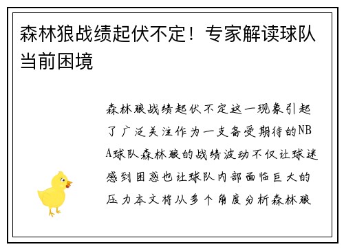 森林狼战绩起伏不定！专家解读球队当前困境
