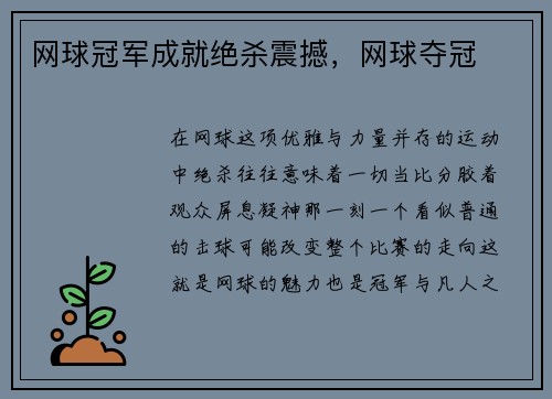 网球冠军成就绝杀震撼，网球夺冠